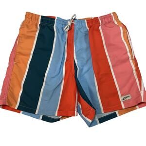Bather Swim Trunks Size L Multicolor Striped Multigradient Lined Beach Pool Surf